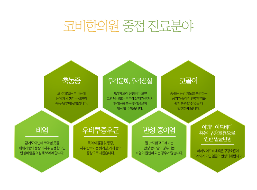 축농증/후각둔화,후각상실/코골이/비염/후비루 증후군/만성 중이염/구강호읍으로 인한 얼굴변형